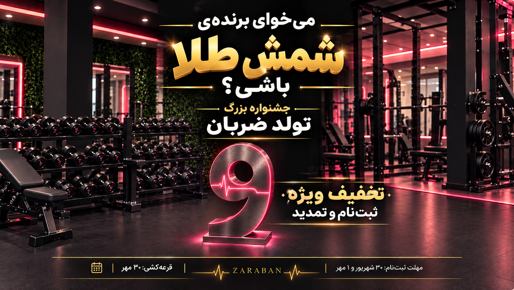 ضربان